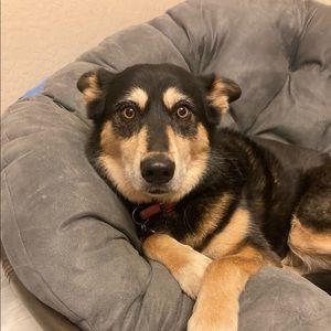 Meet your Posher, Kristen